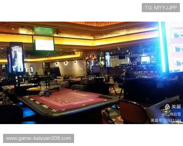 南非赌场：南非合法赌场的法律法规与玩家权益保护措施详解