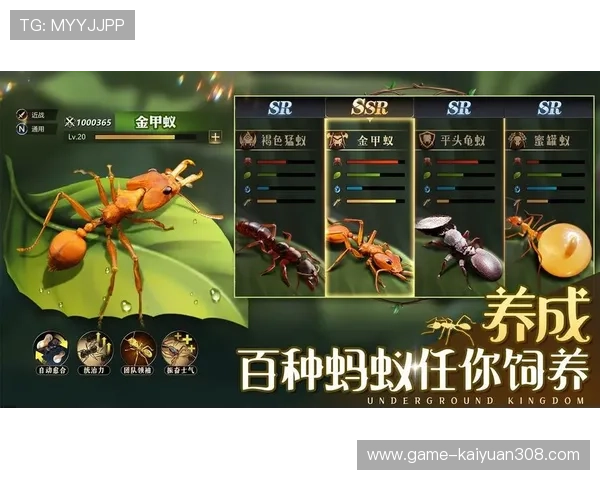 丰城瓜瓜棋牌官方攻略大全，快速掌握游戏技巧提升胜率